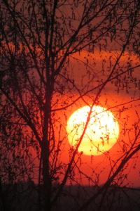 Sonne im März